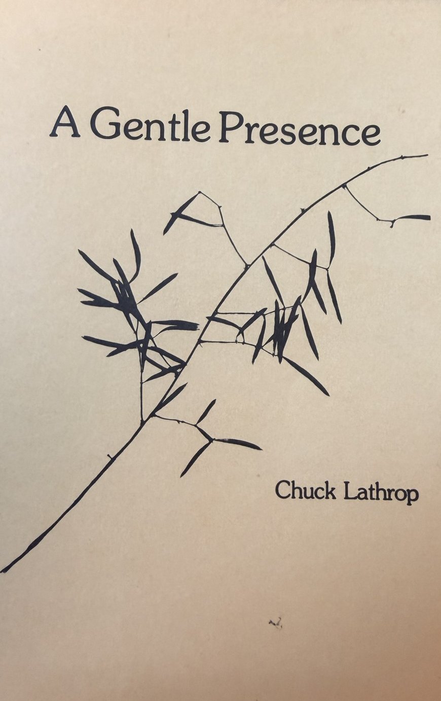 The cover of A Gentle Presence